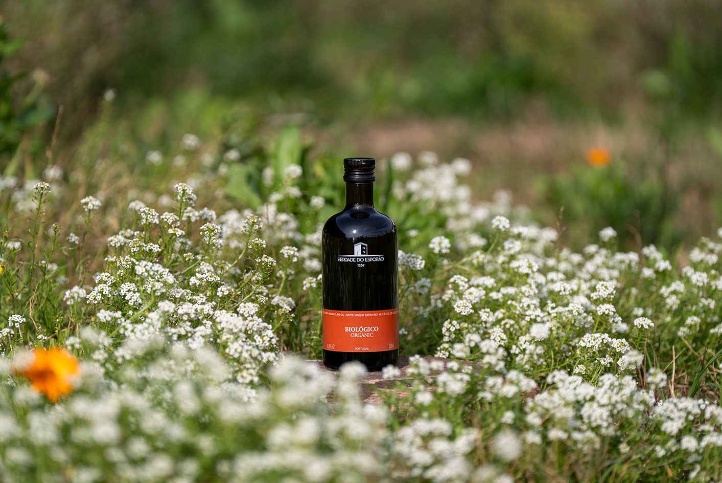 Olivolja Alentejano E.V 500ml